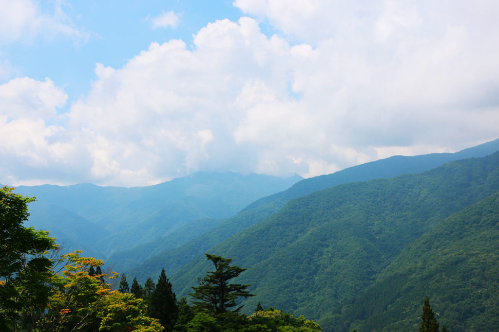 La nature verdoyante de Chichibu au Japon